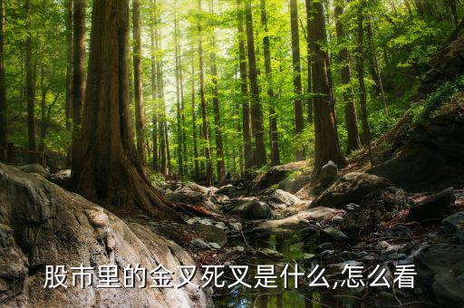 炒股怎么看金叉和死叉,技術指標交叉的意義有待提高
