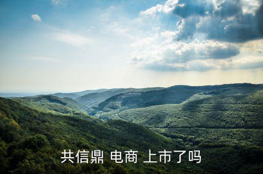電商怎么上市,南極電商在納斯達克上市騰訊、慧聰網(wǎng)香港上市