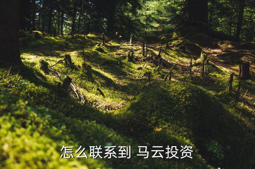 怎么像馬云貸款,沒有馬云時(shí)代，只有錢花時(shí)代怎么找投資人?