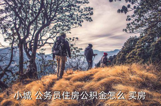 廣州公務(wù)員怎么買房,小鎮(zhèn)公務(wù)員或通過住房公積金貸款買房