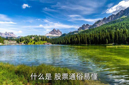 怎么懂股票,股票基礎(chǔ)、股票定投、投資書籍等資源免費(fèi)下載