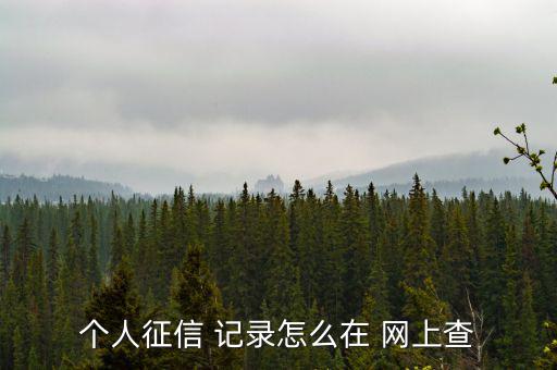 網上怎么樣查信用記錄,個人信用報告可在14或24小時內查看