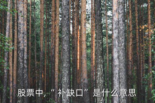 大盤補(bǔ)缺怎么補(bǔ),超級黑馬不補(bǔ)大盤最終會(huì)陷入泥潭