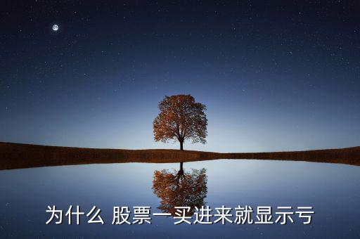 為什么 股票一買進(jìn)來(lái)就顯示虧