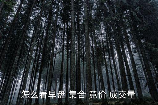 怎么看早盤 集合 競價(jià) 成交量