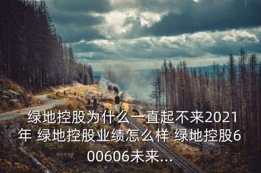  綠地控股為什么一直起不來2021年 綠地控股業(yè)績(jī)?cè)趺礃?綠地控股600606未來...