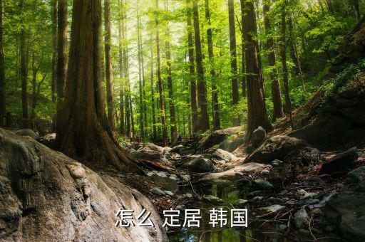 怎么才能在韓國(guó)定居,韓國(guó)永久居留權(quán)可通過以下方式獲得
