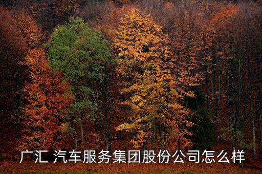 廣匯汽車怎么樣,廣匯汽車商譽(yù)來(lái)自于溢價(jià)收購(gòu)4s門店