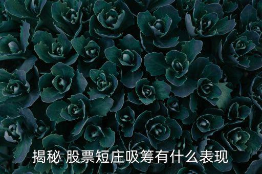揭秘 股票短莊吸籌有什么表現(xiàn)