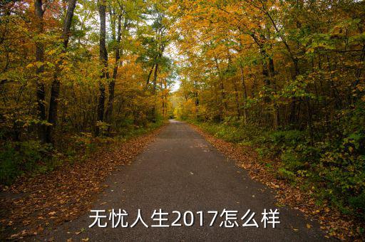  無(wú)憂人生2017怎么樣