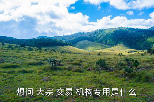 怎么看機構(gòu)大宗交易,大宗-1/交易須遵守什么規(guī)則?