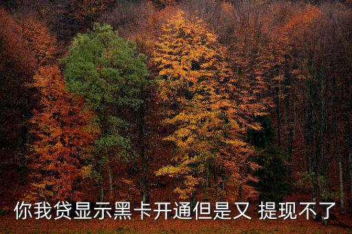 你我貸新手專(zhuān)享怎么提現(xiàn),借款人若提現(xiàn)失敗有兩種情況