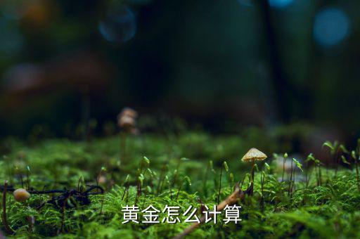 怎么算黃金的重量,我國(guó)普遍習(xí)慣使用盎司作為國(guó)際黃金計(jì)量單位