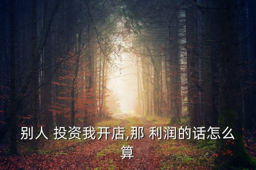 別人 投資我開(kāi)店,那 利潤(rùn)的話(huà)怎么算