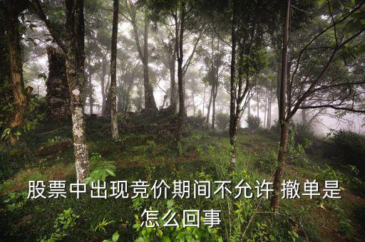  股票中出現(xiàn)競價期間不允許 撤單是怎么回事