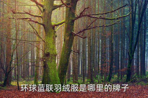 環(huán)球藍聯卡怎么填寫