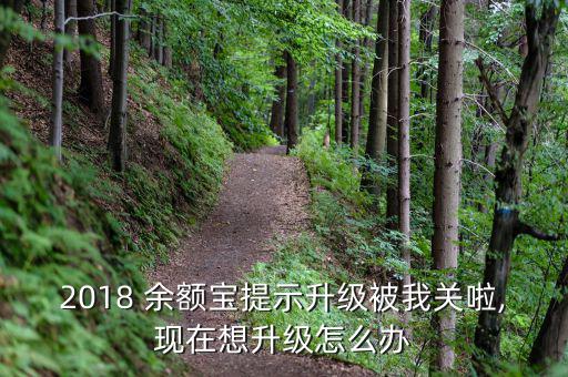 余額寶等級怎么升,余額寶限購時間也被取消