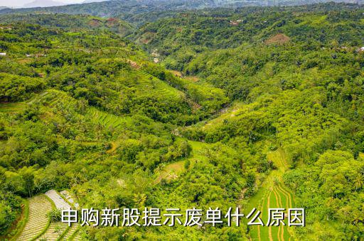 新股申購為什么是廢單，定價申購新股為什么總提示是廢單