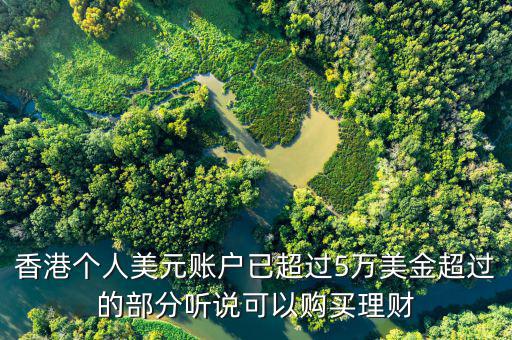 美元在香港投資什么比較好，香港個人美元賬戶已超過5萬美金超過的部分聽說可以購買理財
