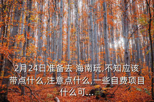 2月24日準(zhǔn)備去 海南玩,不知應(yīng)該帶點什么,注意點什么,一些自費項目什么可...