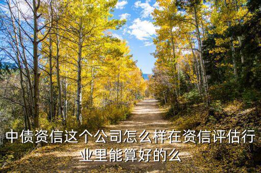 中債資信這個公司怎么樣在資信評估行業(yè)里能算好的么