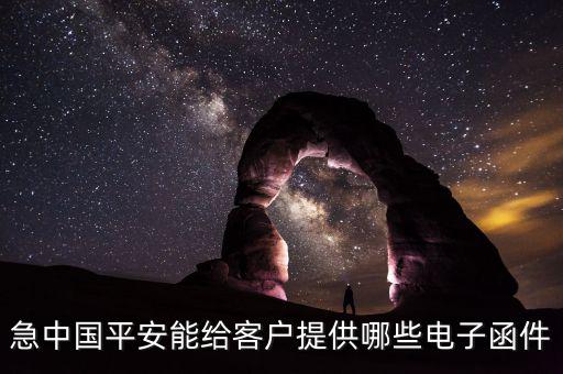 什么是電子紅利通知書，急中國平安能給客戶提供哪些電子函件