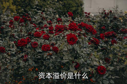 什么是溢價，什么是資本溢價