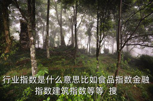 申萬(wàn)行業(yè)指數(shù)是什么，申萬(wàn)證券行業(yè)指數(shù)分級(jí)是什么指數(shù)基金嗎