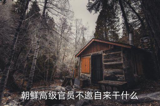 朝鮮領(lǐng)導(dǎo)人為什么不出訪，朝鮮高級官員不邀自來干什么