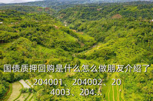 國(guó)債質(zhì)押回購(gòu)是什么怎么做朋友介紹了 204001、204002、204003、204...