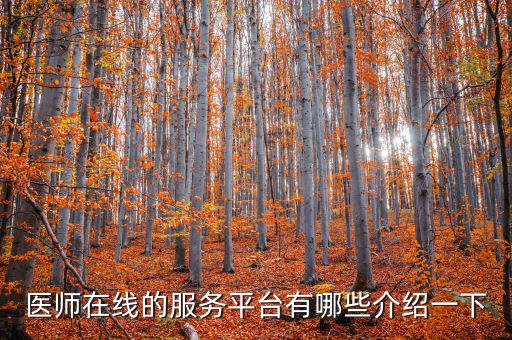 408什么平臺，408是什么車