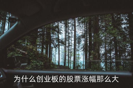 創(chuàng)業(yè)板為什么暴漲，為什么創(chuàng)業(yè)板一漲大盤(pán)就上漲