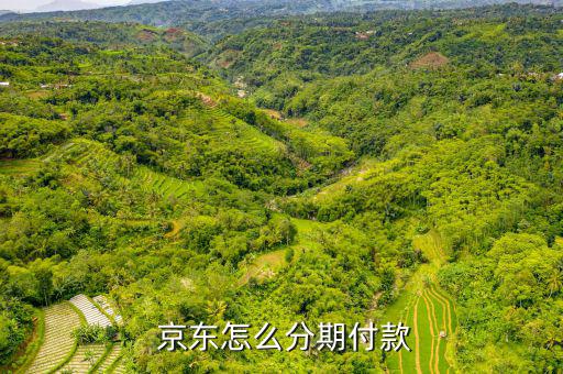 京東怎么用儲(chǔ)蓄卡分期,如何在京東購(gòu)買(mǎi)手機(jī)?