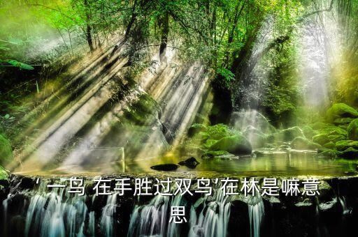 一鳥在手怎么做,一鳥在手勝過林中雙鳥衍生成諺語