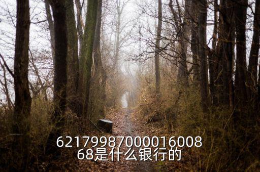 中債資信屬于什么銀行，6217998700001600868是什么銀行的