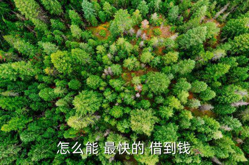 怎么能最快借到錢,網(wǎng)上借錢最快三分鐘到!曉曼挺快的
