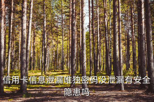 信用卡信息泄露有什么風險，信用卡信息泄漏唯獨密碼沒泄漏有安全隱患嗎