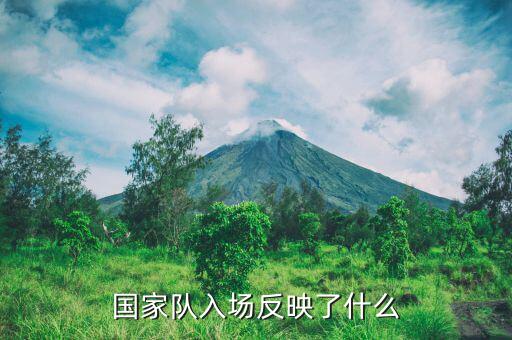 國(guó)家隊(duì)進(jìn)場(chǎng)是什么意思，國(guó)家隊(duì)入場(chǎng)反映了什么