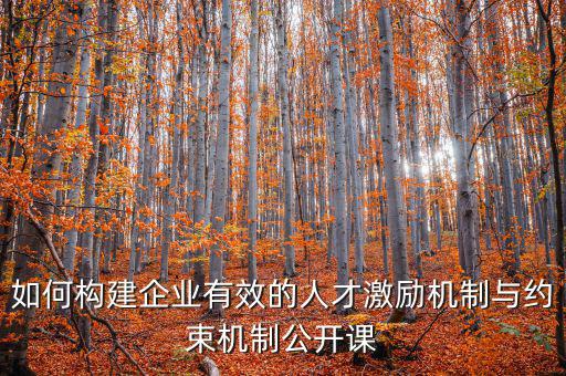 財(cái)務(wù)激勵(lì)與約束機(jī)制的設(shè)計(jì)原則是什么，財(cái)務(wù)激勵(lì)約束機(jī)制的概念是什么