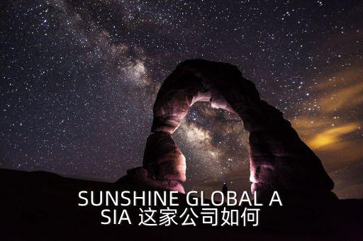 永信亞洲有限公司主要業(yè)務是什么，SUNSHINE GLOBAL ASIA 這家公司如何