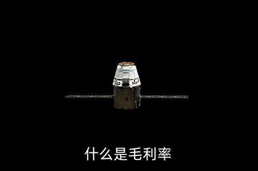 毛利率是什么，毛利率是什么意思