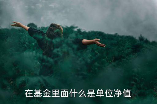 什么是基金單位凈值，基金單位凈值是什么意思