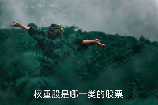 權(quán)重股是什么意思，權(quán)重股是哪一類的股票