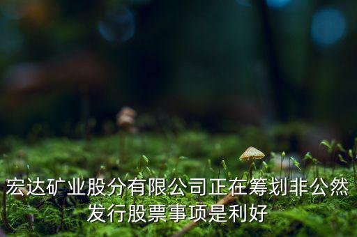 宏達礦業(yè)什么重大事項，請教600687停盤說是因為核實公司相關(guān)重大事項這個重大事項有知