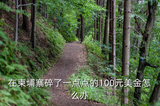在柬埔寨碎了一點(diǎn)點(diǎn)的100元美金怎么辦