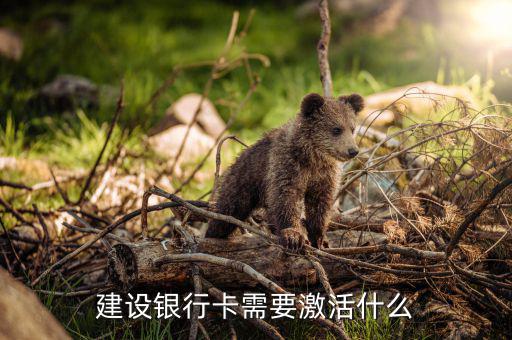 建行信用卡激活需要什么，激活信用卡需要準(zhǔn)備什么東西身份證和戶口本