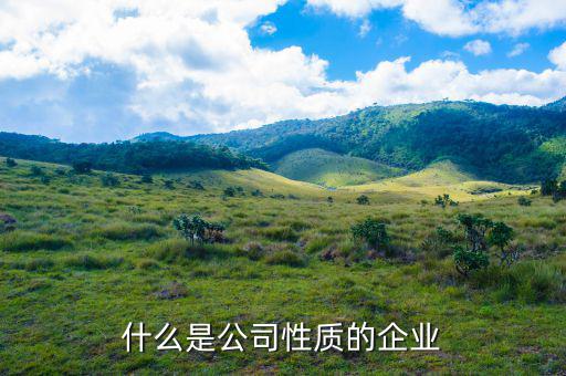 什么是公司性質的企業(yè)