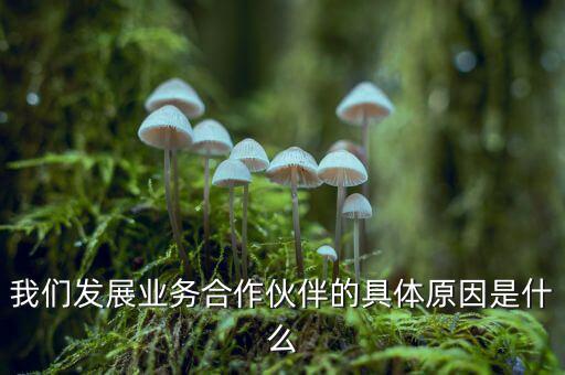 為什么要發(fā)展同業(yè)業(yè)務(wù)，匯付天下之前說(shuō)要大力發(fā)展同業(yè)業(yè)務(wù)同業(yè)業(yè)務(wù)指的是甚么