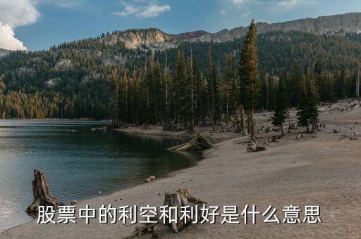 股票中的利空是什么意思，什么是股市利空