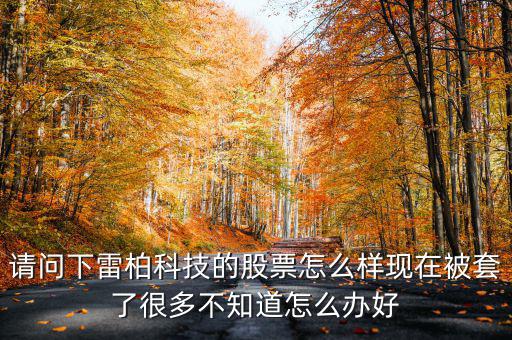 雷柏科技股票是什么板塊，600248是屬于什么板塊的股有潛力沒的能看高到多少價位
